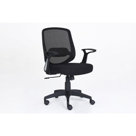 Twist Mesh Back Chair with Lumbar Support