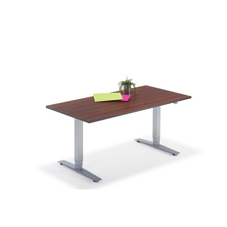 Walnut Sit Stand Height Adjustable Electric Desk